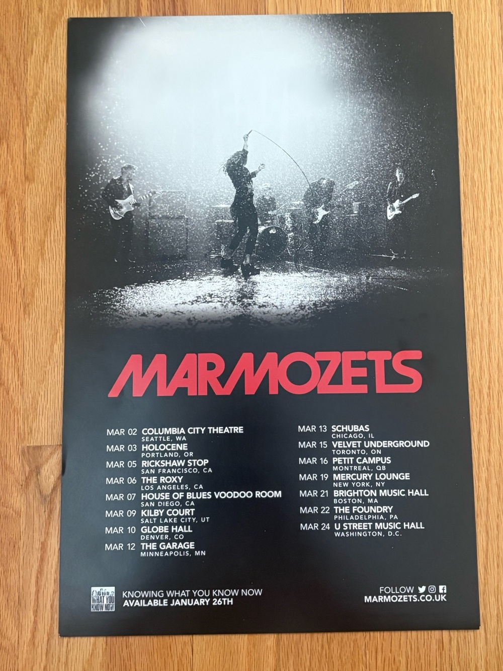 Marmozets band poster